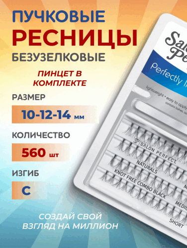 2024-11-27_13-13-57