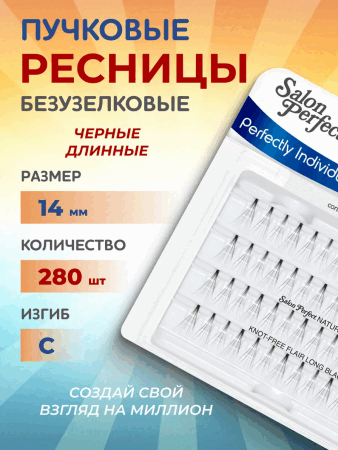 2024-11-27_13-20-53